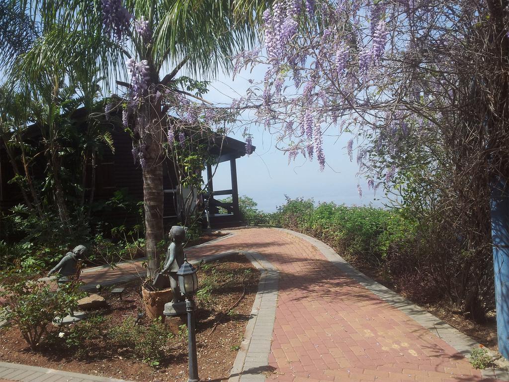모샤브레메트 Sea Of Galilee Panoramic View 빌라 객실 사진